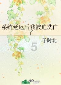 比沃尔:在我眼中,世界最佳拳手的称号应属于特伦斯·克劳福德
