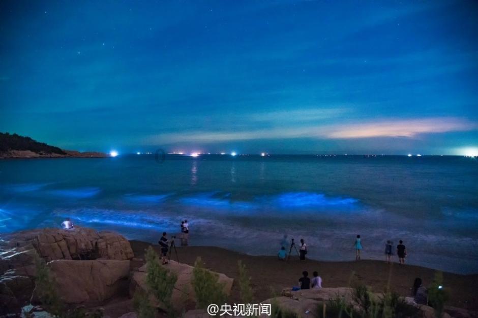 注意防骗防诈 抓紧年报