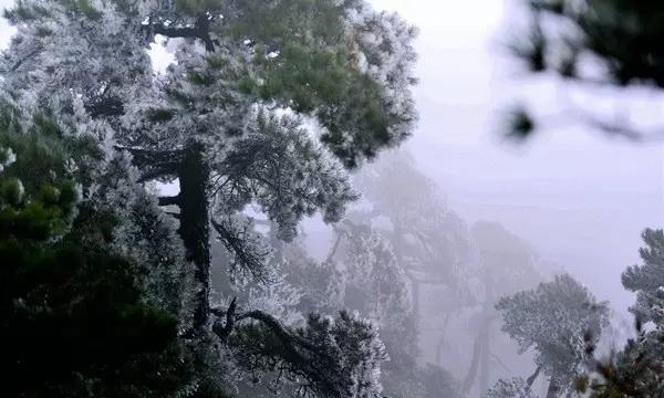 救援困倦的男孩