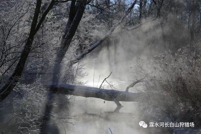 浙江省温州市瓯海区：实现公共充电桩“村村通” 化解群众出行难题
