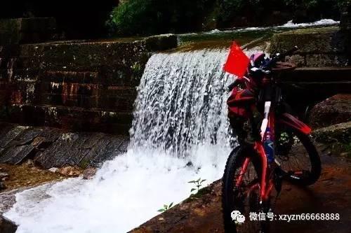 观察者
