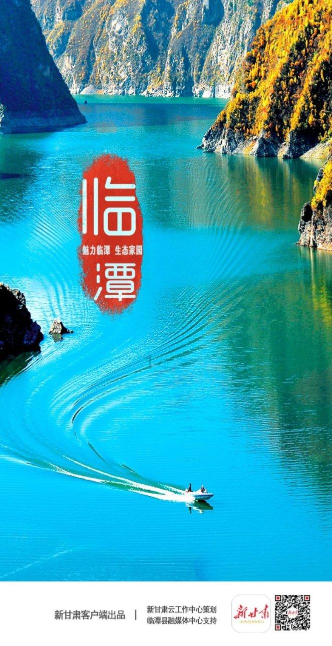 小僵尸射飞鸟