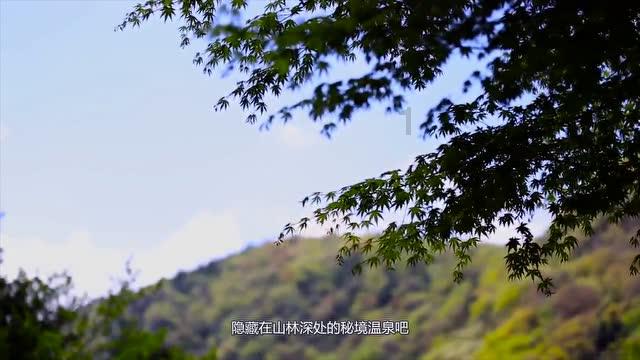 逃离亚洲丛林