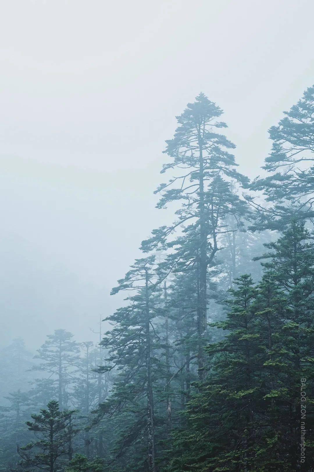 洛克王国