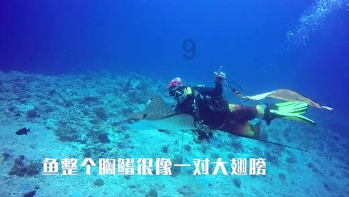 虽然陈子龙很努力，却生不逢时，最终以投河的方法结束自己的生命