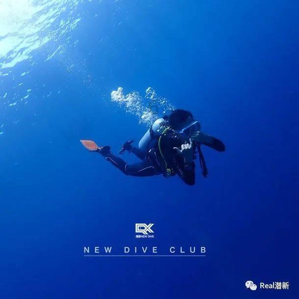 园丁逃生