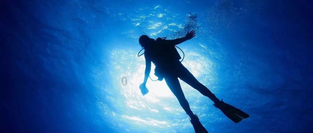 人间四月芳菲尽，山寺桃花始盛开？这句诗句是什么意思？游戏画面