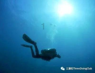 逃离密苏里州花园