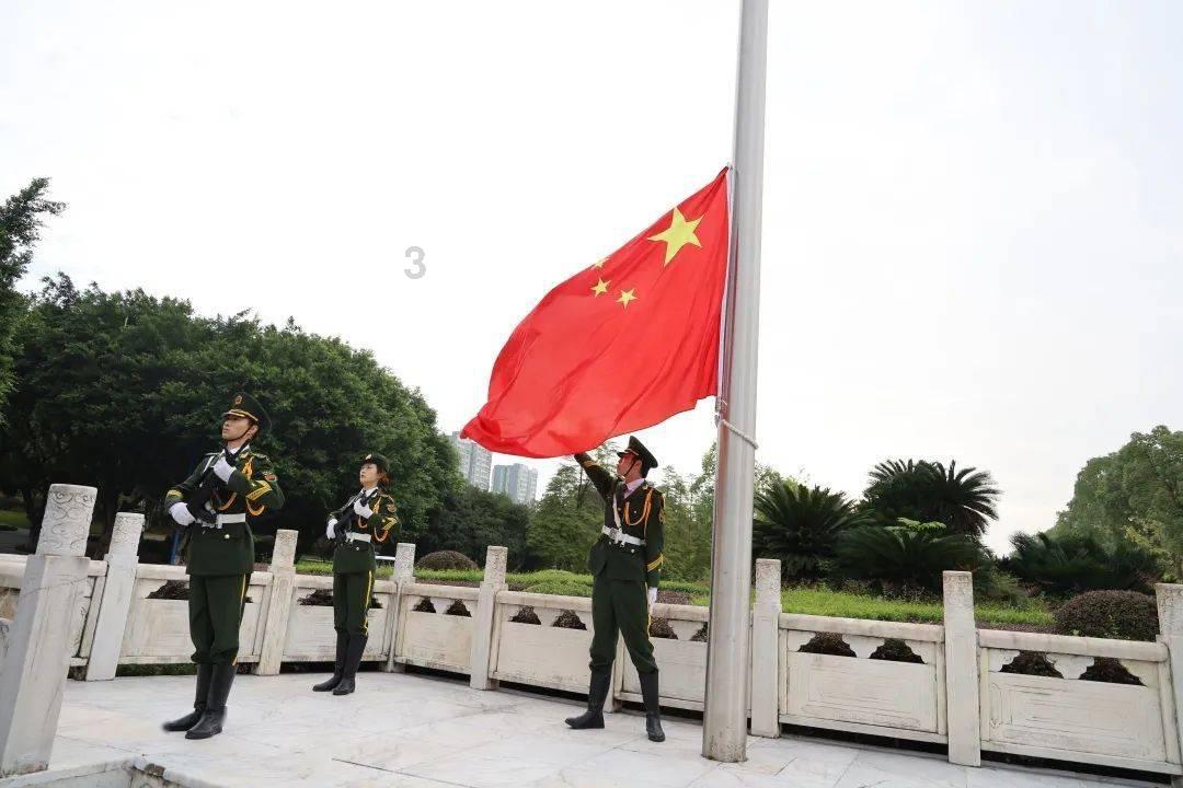 无休止的树