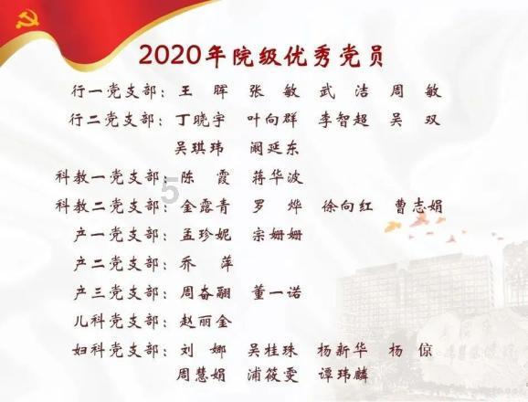 飞天小猪仔