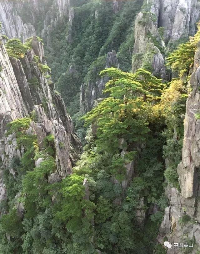 夏天怎么解暑啊游戏画面