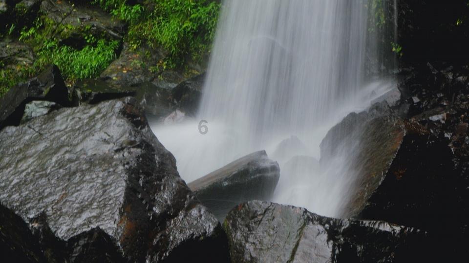 两会现场速递|何英代表:进一步加大对万山区易地扶贫搬迁后续扶持力度