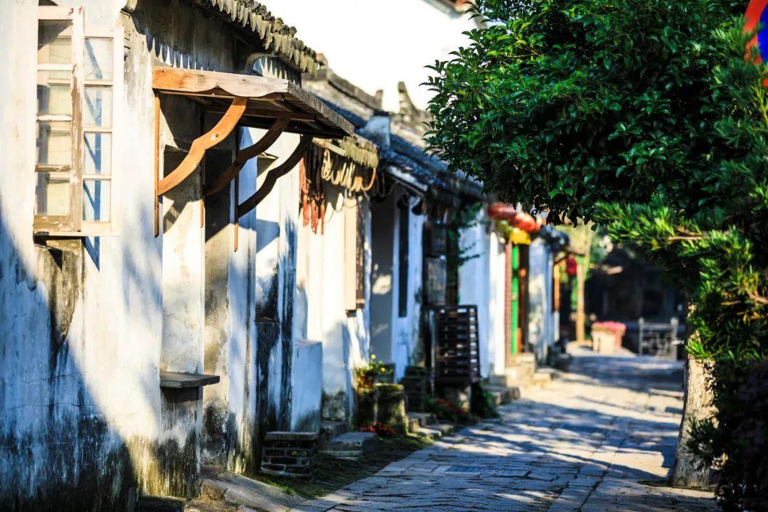 花千骨中异朽阁大还是杀千模大游戏画面