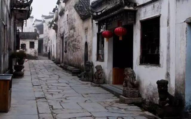 白菜的“死对头” 提醒:二者不可同食,否则没病找病,早看早受益