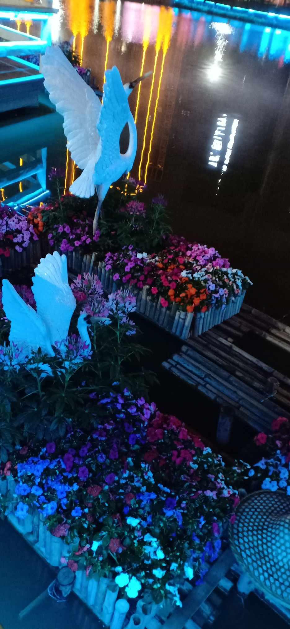 缤纷水果茶