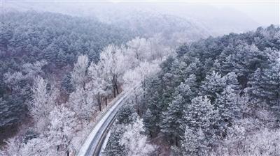 5本架空历史小说推荐,远超《汉乡》,与《唐砖》不相上下